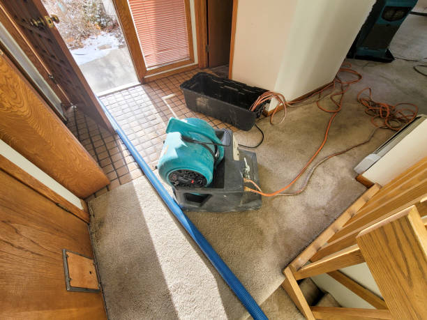 Best Fire Damage Restoration  in Deer Park, NY