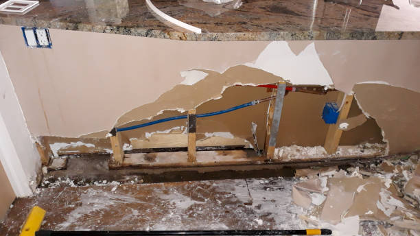 Best Residential water damage restoration  in Deer Park, NY