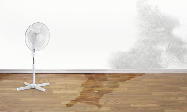 Deer Park, NY Water damage restoration Company