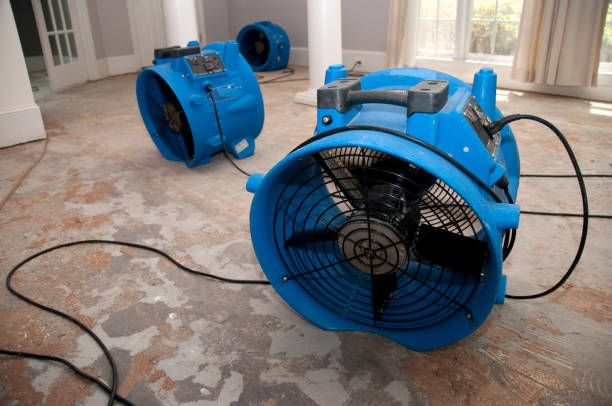 Best Water damage restoration insurance claims  in Deer Park, NY