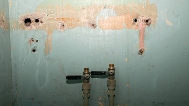 Best Flooded house restoration  in Deer Park, NY