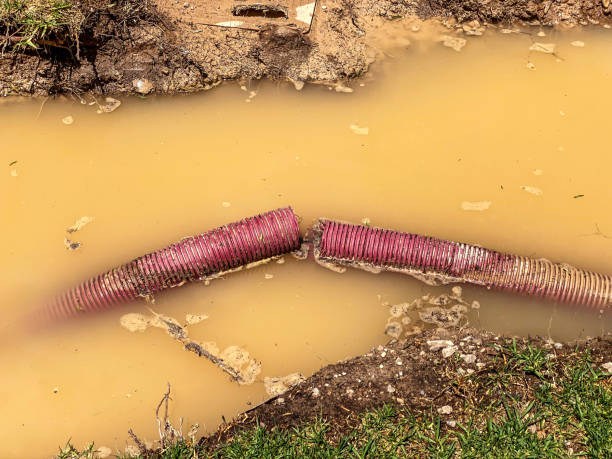 Best 24-hour water damage restoration  in Deer Park, NY